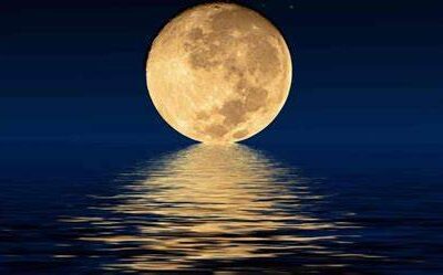 10-Best-Psychics-on-Oranum