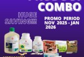Black Friday and Year -end Special Promotions