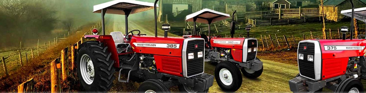Store Banner
