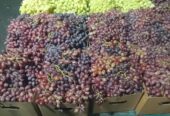 Fresh South African Apples and Grapes for Sale