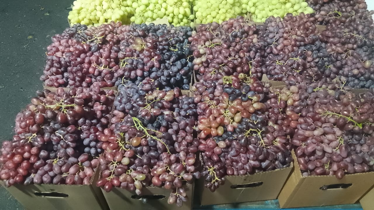 Fresh South African Apples and Grapes for Sale