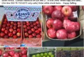 Fresh South African Apples and Grapes for Sale