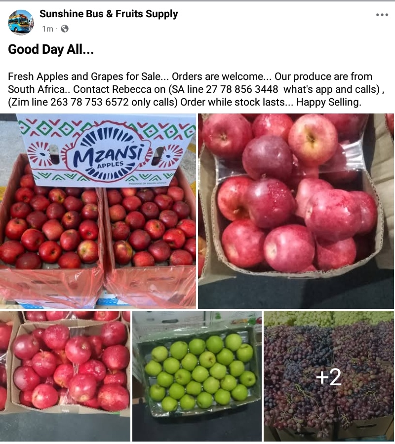 Fresh South African Apples and Grapes for Sale