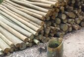 Premacure CCA Wood Treatment