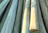 Premacure CCA Wood Treatment