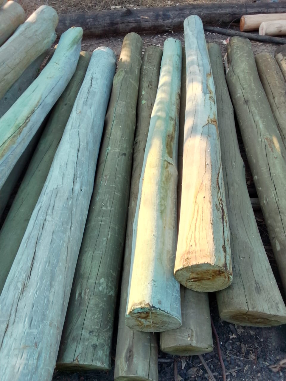 Premacure CCA Wood Treatment